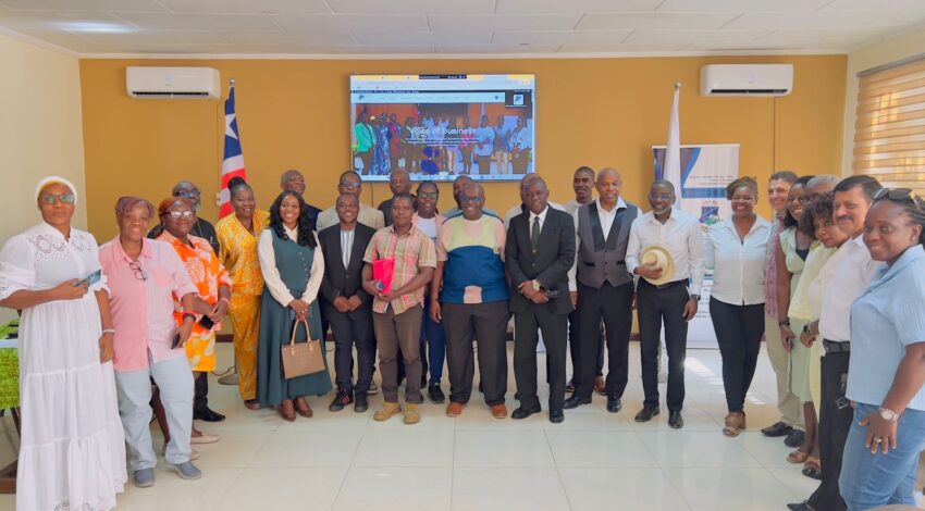 We Have Launched Our New Website to Strengthen Access and Engagement for Liberia’s Private Sector